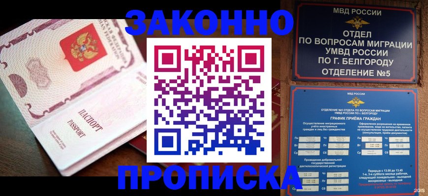 временная регистрация для школы в Протвино